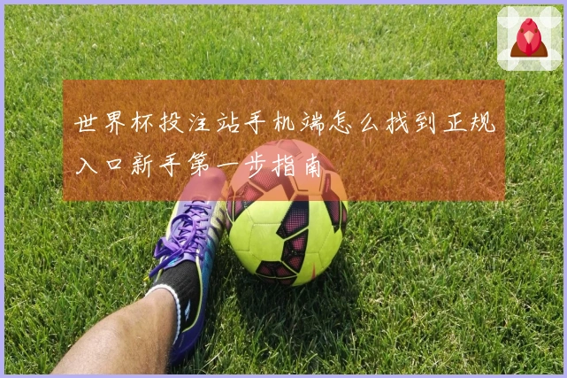 世界杯投注站手机端怎么找到正规入口新手第一步指南