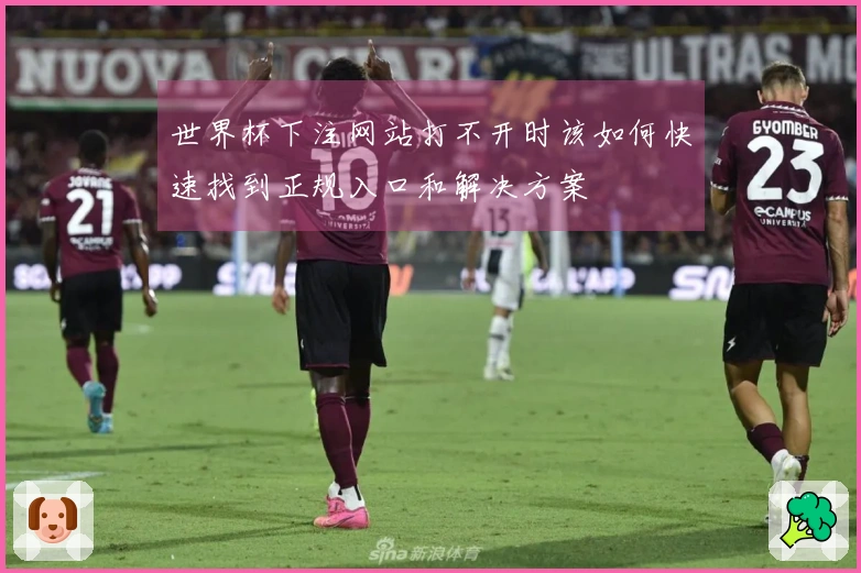 世界杯下注网站打不开时该如何快速找到正规入口和解决方案