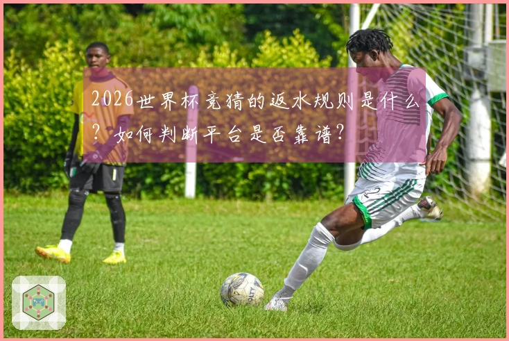 2026世界杯竞猜的返水规则是什么？如何判断平台是否靠谱？