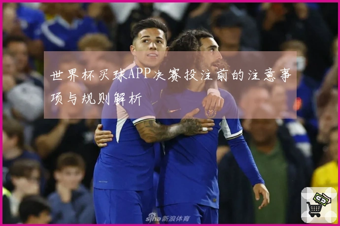世界杯买球APP决赛投注前的注意事项与规则解析