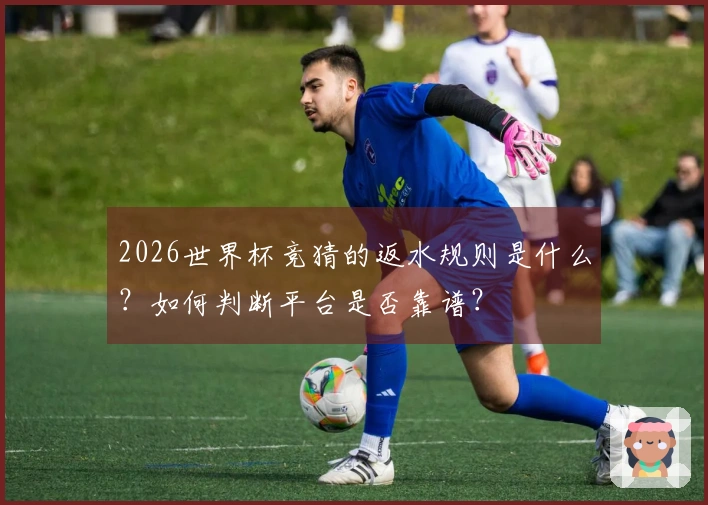 2026世界杯竞猜的返水规则是什么?如何判断平台是否靠谱?