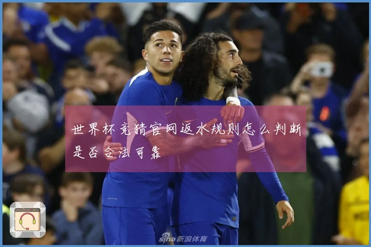 世界杯竞猜官网返水规则怎么判断是否合法可靠